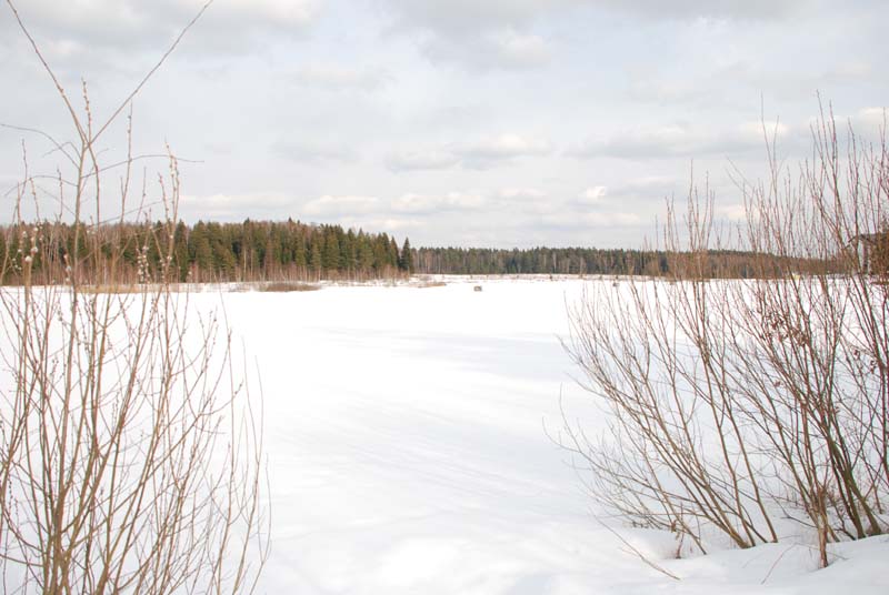    - «», 22-23  2008 